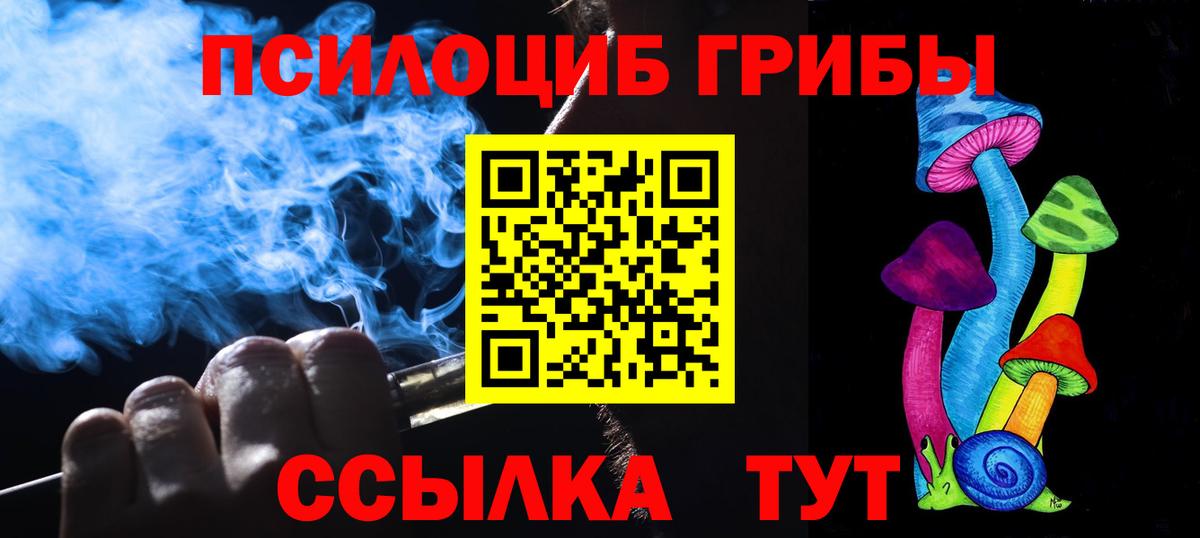 Галлюциногенные грибы мицелий Кандалакша