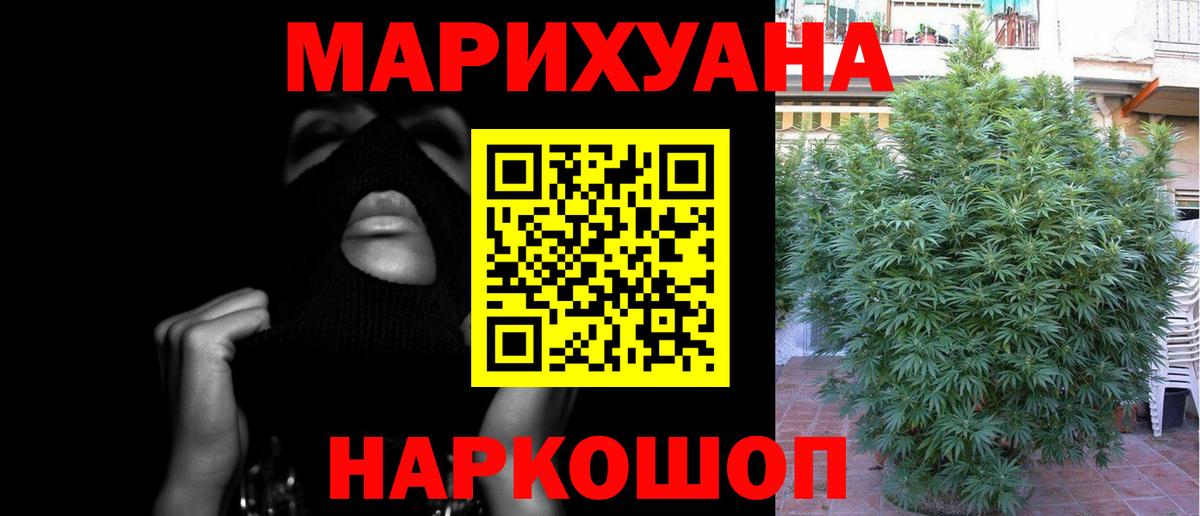 Бошки марихуана Amnesia Кандалакша